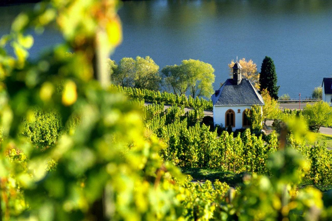 Weingut Christoffel Lägenhet Kövenig Exteriör bild